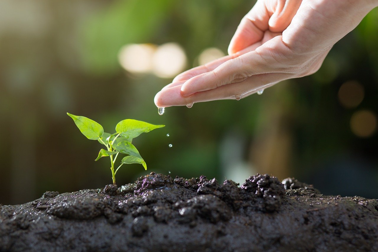 Is Anthropocentrism Still Relevant in Environmental Ethics?